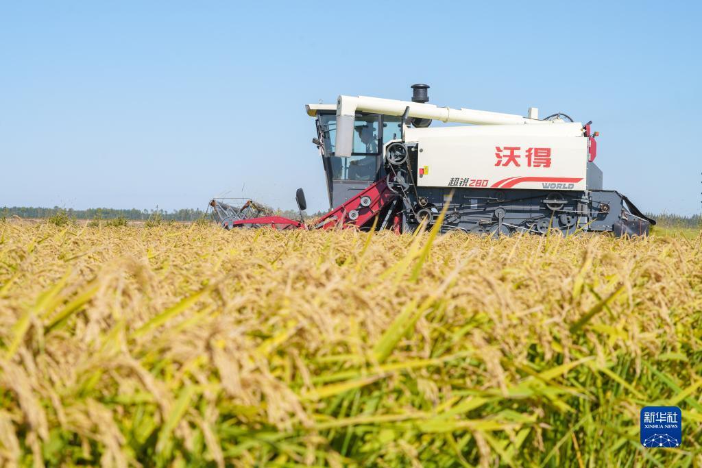 手机版捕鱼游戏大厅